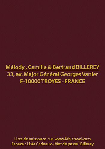 Faire Part Camille Billerey Couverture Fin